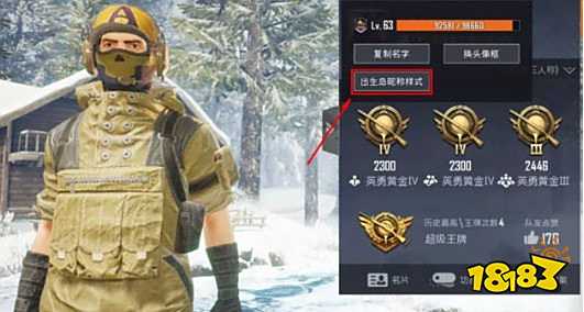 和平精英出生岛昵称样式徽章佩戴方法