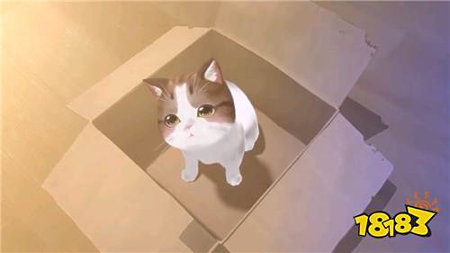 《喵与筑》手游评测:治愈系养猫 一切都为了吸猫