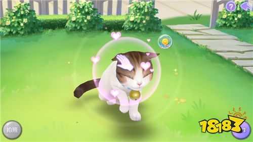 《喵与筑》手游评测:治愈系养猫 一切都为了吸猫