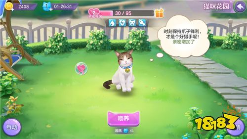 《喵与筑》手游评测:治愈系养猫 一切都为了吸猫