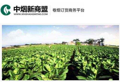 新商联盟登录安卓版下载