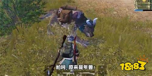 和平精英宝藏年兽在哪 宝藏年兽刷新位置 