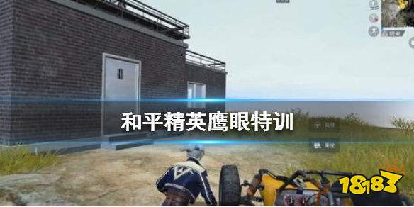 和平精英鹰眼特训怎么玩 鹰眼特训玩法攻略