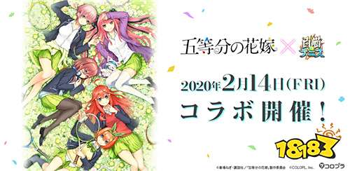 《白猫 tennis》x《五等分的新娘》联动2月14日开始