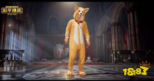 和平精英萌神柯基需要多少钱 萌神柯基套装预览