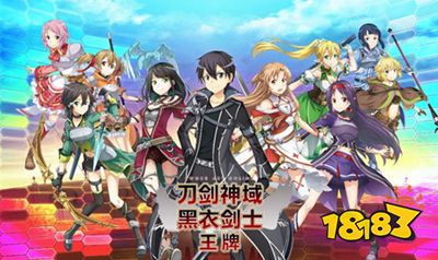刀剑神域黑衣剑士王牌