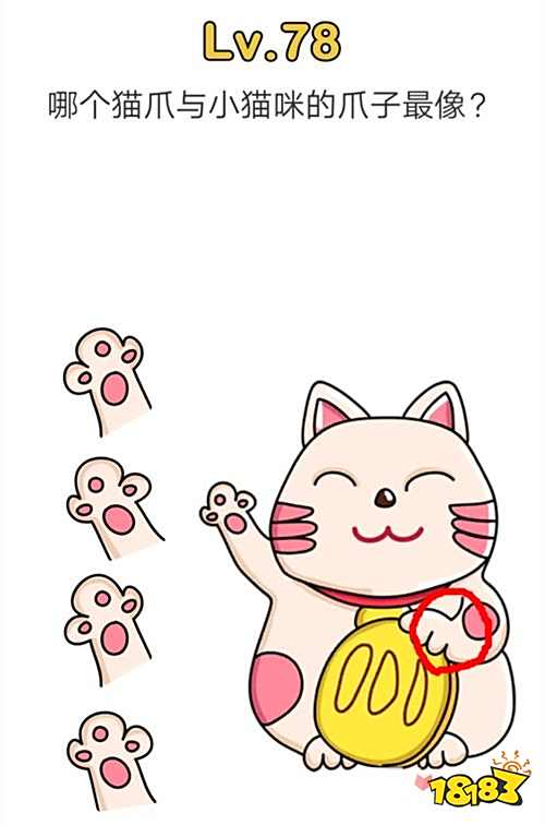 脑洞大师哪个猫爪与小猫咪的爪子最像第78关图文通关攻略 181手游门户