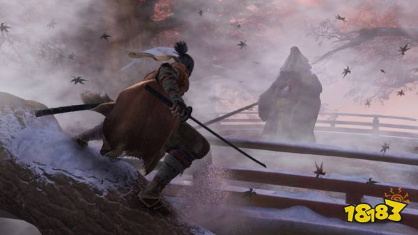 只狼影逝二度标准版在哪买 只狼影逝二度标准版购买地址