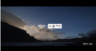 明日方舟联手WWF [万类共生]活动蓄势待发