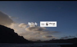 《明日方舟》携手世界自然基金会共同守护万类共生，大型公益联动即将开启