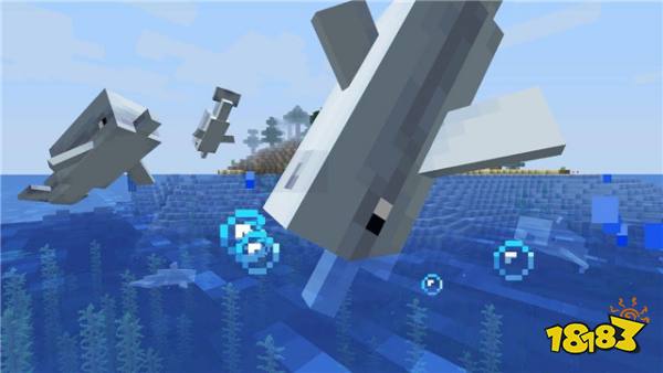 我的世界怎么用海豚找沉船
