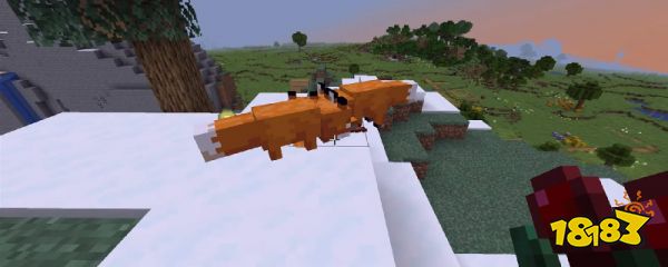 我的世界狐狸怎么获得 我的世界狐狸获得方法