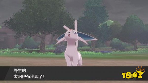 宝可梦盾伊布在哪里