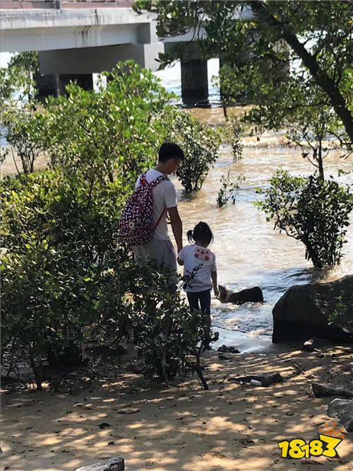 石器专栏玩家故事Vol.4：能工巧匠！石器周边创作者小芹菜