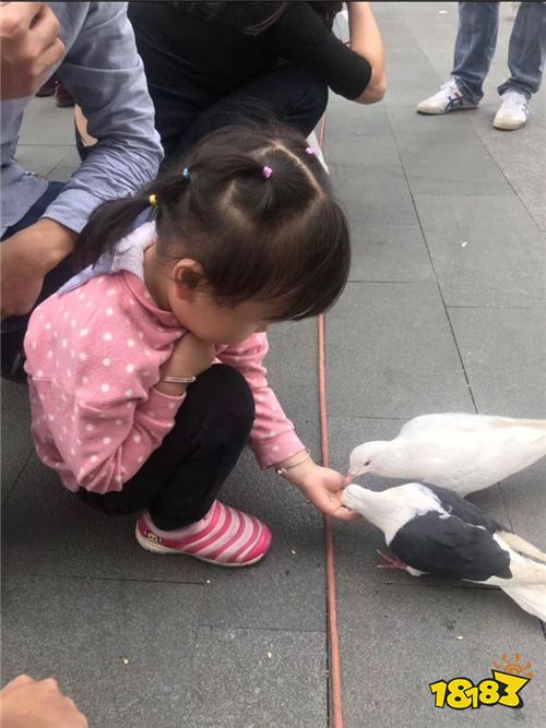 石器专栏玩家故事Vol.4：能工巧匠！石器周边创作者小芹菜