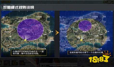 和平精英紫圈是什么 紫圈和白圈区别解析