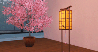 明日之后爆料：樱花“开”进卧室，真美!