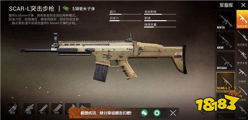和平精英队友吃鸡了我能加分吗 和平精英加分机制介绍