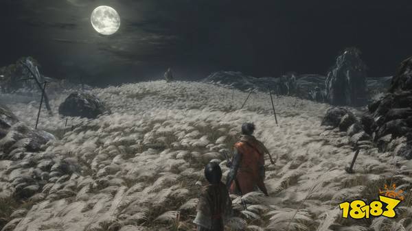 只狼怎么买比较便宜 只狼在哪儿买最便宜