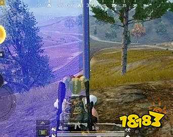 和平精英圈中圈战术技巧 圈中圈怎么才能吃鸡