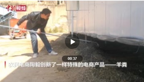 甘肃环县农民网上卖羊粪 电商卖羊粪半月收入超两万