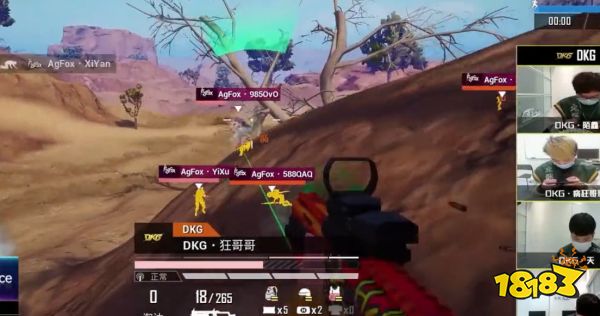 和平精英四排战术配合指南