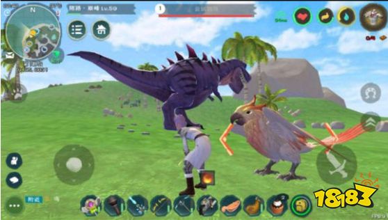 创造与魔法云斑鹦鸟位置必刷点