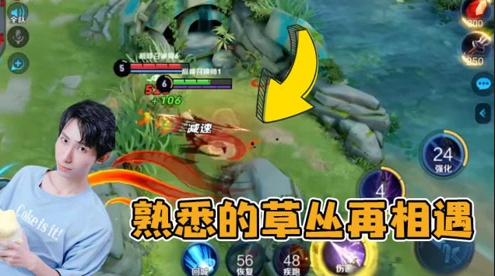 梦泪马超支援中路回上路 杨戬同一个草丛蹲两次