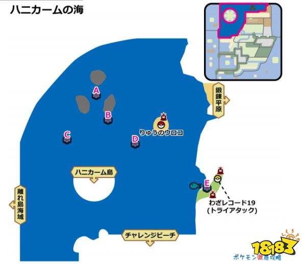 宝可梦剑盾蜂巢海巢穴有哪些宝可梦 蜂巢海巢穴一览