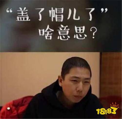 抖音盖了帽了我的老北鼻什么梗?