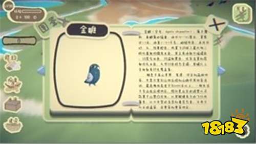 鸟之森安卓中文版下载