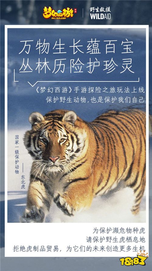 《梦幻西游》携手WildAid打造野生动物保护新玩法