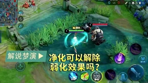 净化可以解除弱化效果吗？这个视频告诉你答案