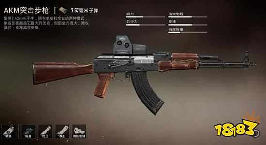 大家常用枪都配什么倍镜 新版本常用枪械倍镜推荐