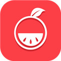 柚子游戏模拟器下载