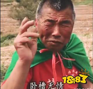 网络上爆火的梗集合 知道这些你就是梗王