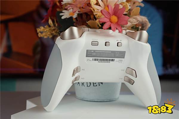 北通宙斯首次登陆ChinaJoy 国产精英能否撼动XBOX手柄地位？！