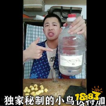 抖音小鸟伏特加zbc是什么意思