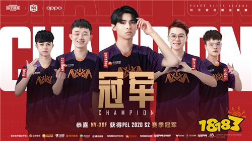 2020PEL S2赛季圆满收官 NV-XQF战队斩获冠军