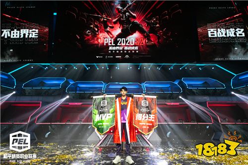 2020PEL S2赛季圆满收官 NV-XQF战队斩获冠军
