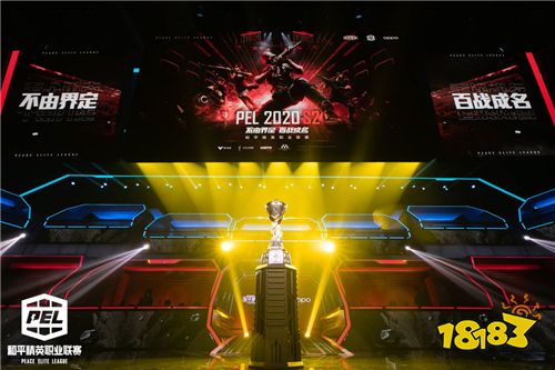 2020PEL S2赛季圆满收官 NV-XQF战队斩获冠军