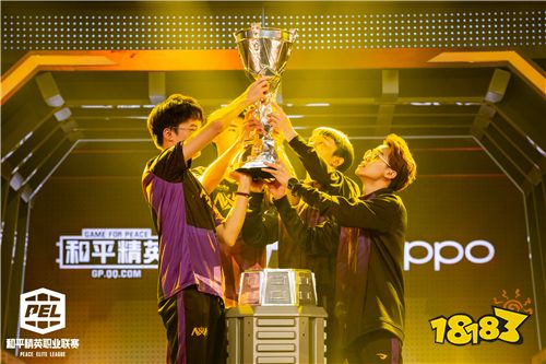 2020PEL S2赛季圆满收官 NV-XQF战队斩获冠军