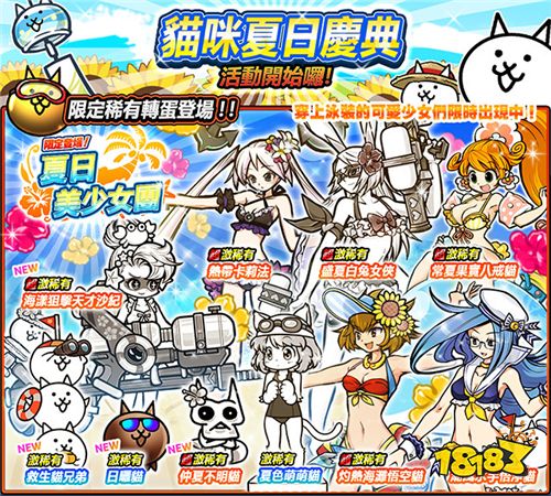 《猫咪大战争》 期间限定夏日美少女团增加新角色