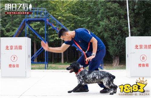火焰蓝X《明日之后》科普开启，千万玩家共同关注工作犬