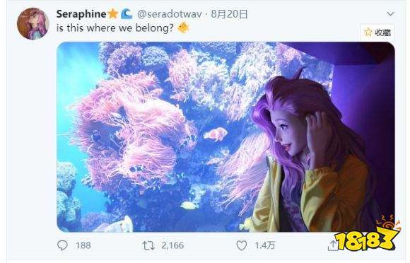 LOL新英雄塞拉芬怎么样 新英雄塞拉芬身份介绍