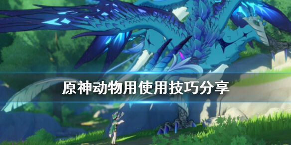 原神猫和狗狗有什么用宠物玩法教学动物心得技巧