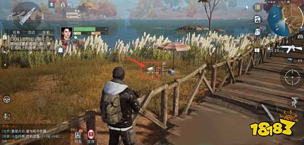 黎明觉醒猫咪任务哪里接 黎明觉醒野外小猫咪全攻略