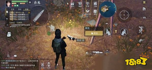 黎明觉醒猫咪任务哪里接 黎明觉醒野外小猫咪全攻略