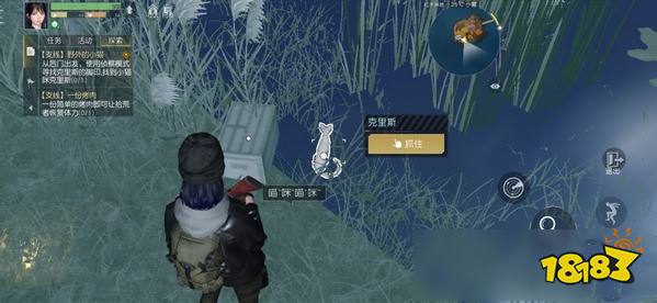 黎明觉醒猫咪任务哪里接 黎明觉醒野外小猫咪全攻略