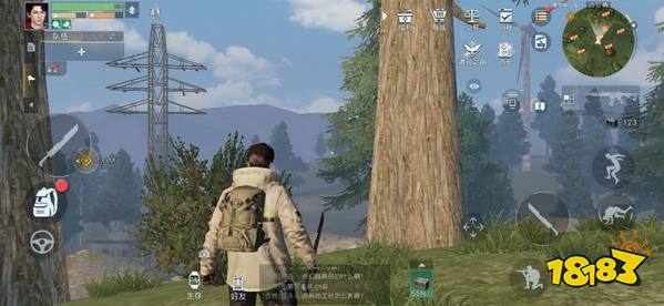 黎明觉醒三棵树宝藏在哪里 藏宝图三棵树位置